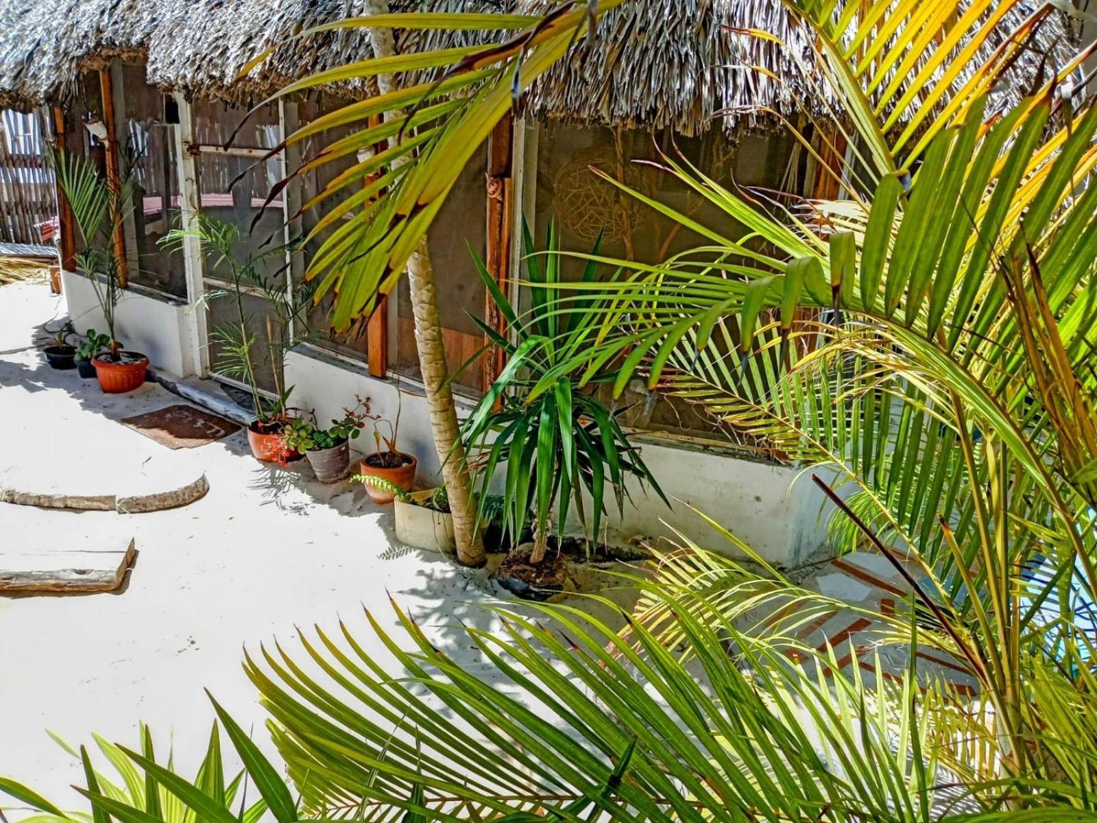 Casa Iguana-home Away Appartement